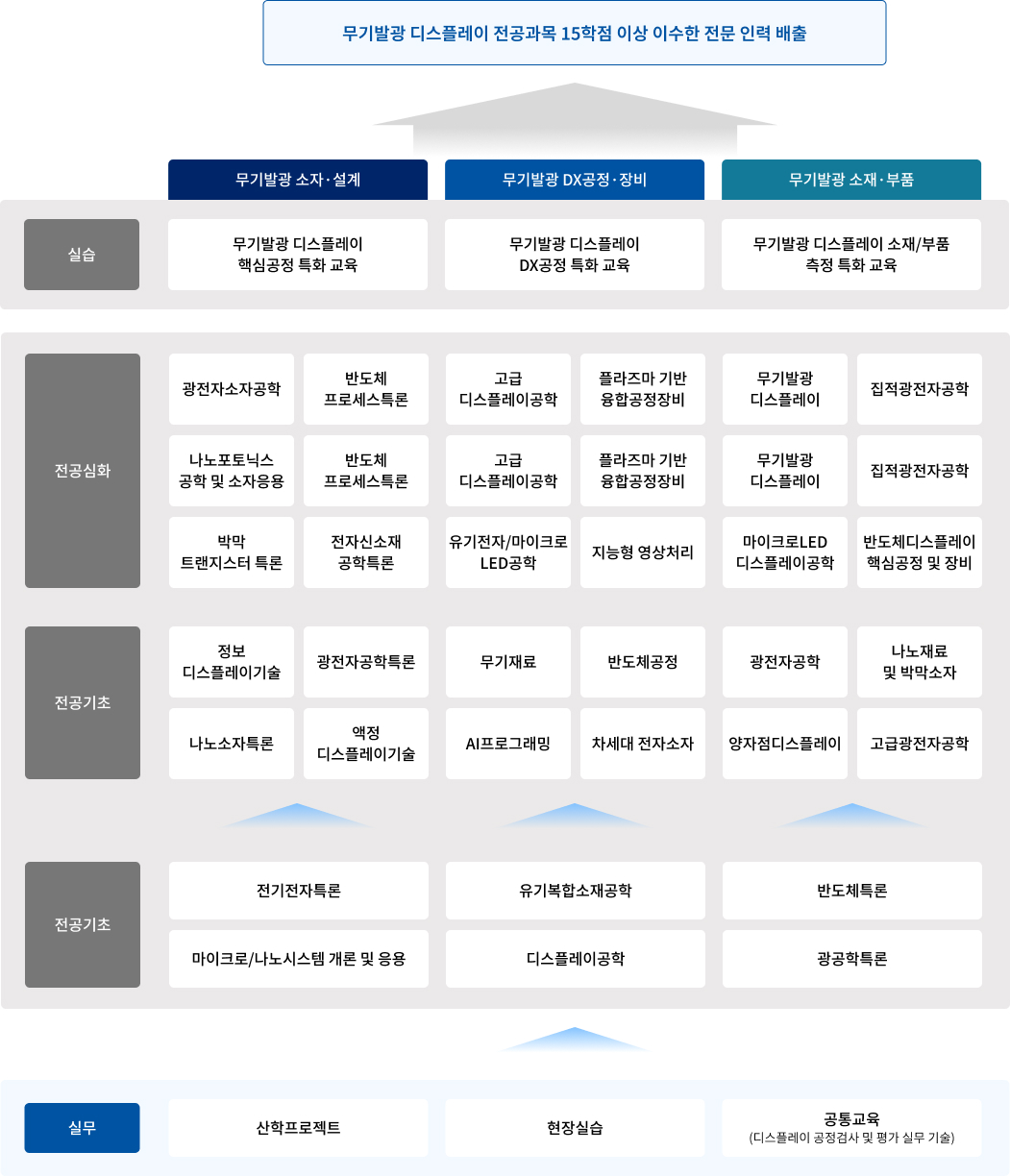 특화 트랙별 커리큘럼 구성 다이어그램