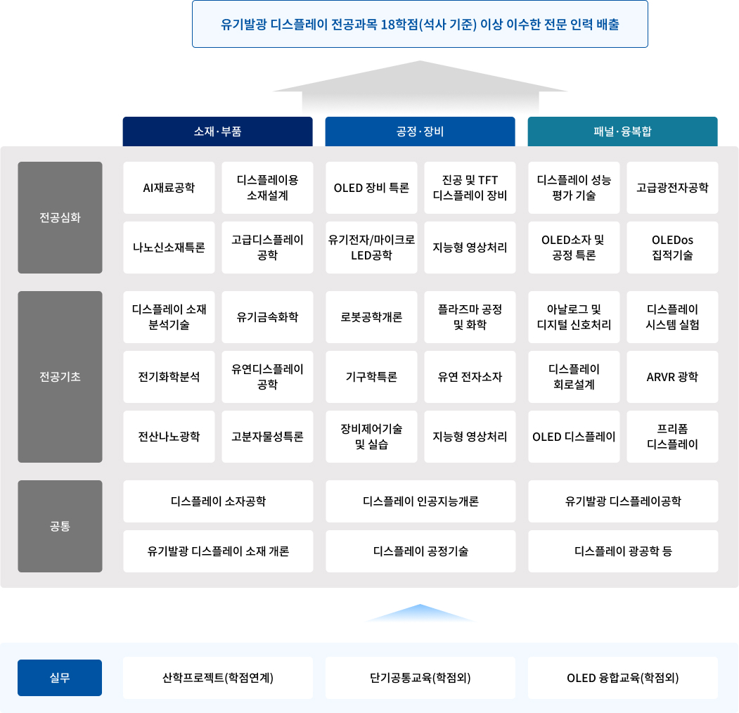 특화 트랙별 커리큘럼 구성 다이어그램